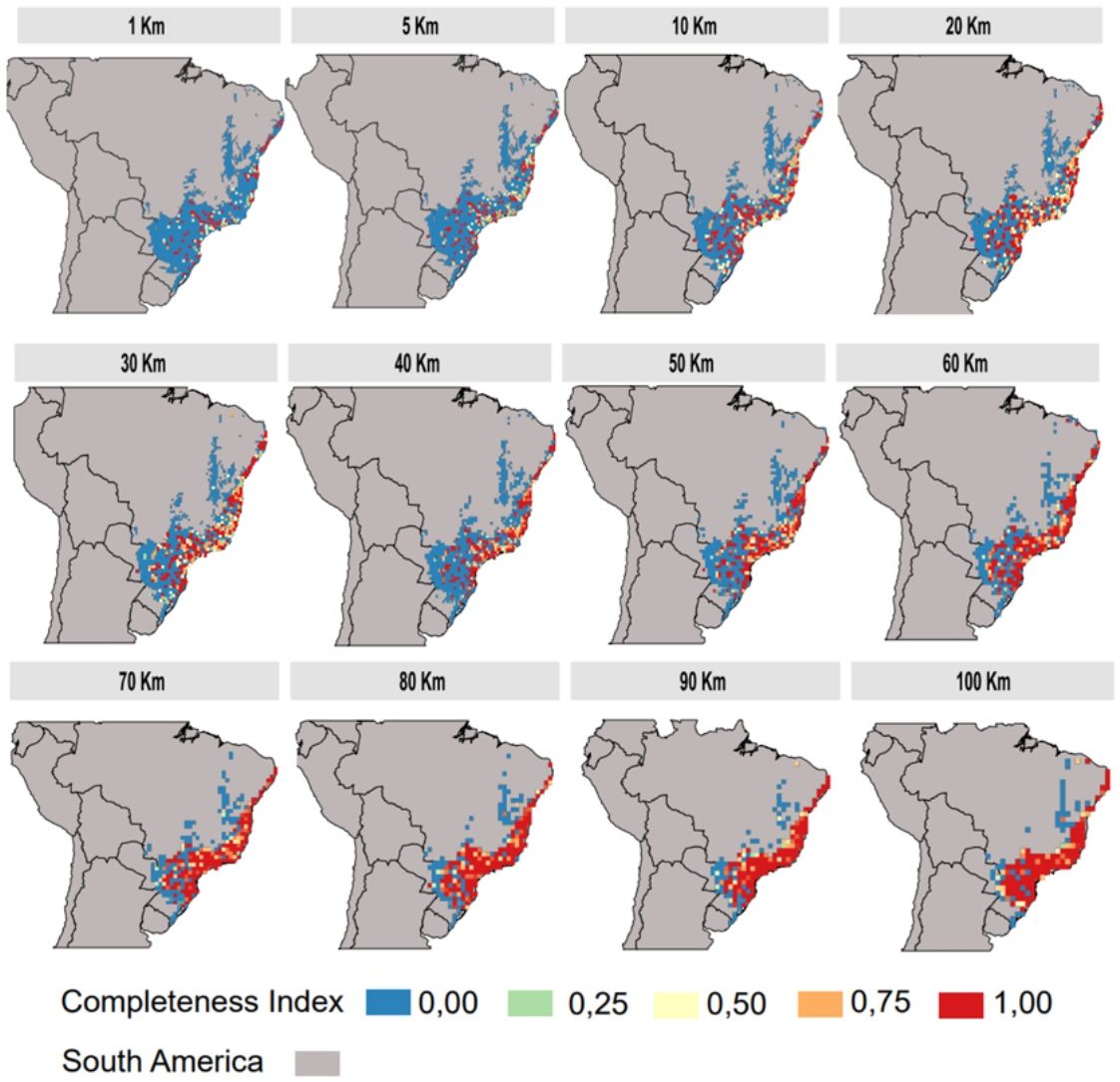 Scale affects the understanding of biases on the spatial knowledge of ...