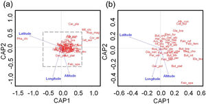 Ordination analysis showing (a) the relationship between the environmental variables and raptor species composition in urban green spaces in cities of the Neotropical Region, and (b) showing an expanded area delimited by discontinuous line in a). For species names, see Supplementary material, Table S3.