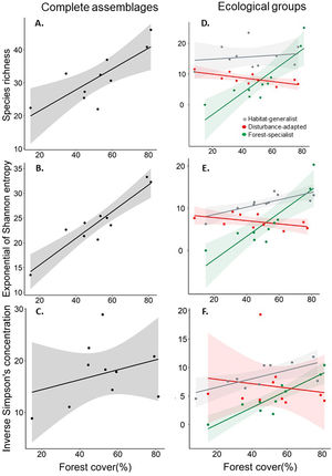 Response of species richness (0Dγ, A and D), diversity of common species (1Dγ, Shannon's entropy exponential; B and E) and diversity of dominant species (2Dγ, Simpson's inverse concentration; C and F) to landscape forest cover, separately assessing bird complete assemblages and different ecological groups (forest-specialist birds, disturbance-adapted birds, and habitat-generalist birds). In all cases, we showed the accumulated alpha diversity in 16-point counts (i.e., gamma diversity per landscape). The shaded area is the 95% confidence interval of the linear models.
