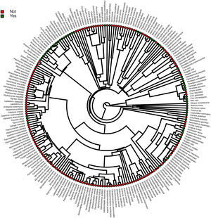 Phylogeny evidencing the distribution across clades of the threatened Brazilian avian taxa recorded in ex situ conservation facilities. The consensus Maximum Credibility Tree was generated from 2500 trees derived from the Mega Tree of birdtree.org.