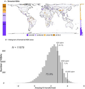 A. Global map (in a 100 × 100 km grid) showing the fraction of cells currently designated as terrestrial Key Biodiversity Areas (KBAs; N = 11,879). On the left of the map is the proportion of each grouping used in the gridded map and on the right is a histogram of the distribution of the KBA proportion from 0 in the bottom to 1 on top. B. Histogram of all existing terrestrial KBAs distributed by log10 transformed area in square kilometres. Vertical lines show where the grid sizes used in this study (625 km2, 2500 km2 and 10,000 km2) fit in the overall distribution of KBA sizes. Due to the relatively coarse resolution of species distributions available globally, our analyses reflect sizes above 76% of terrestrial KBAs (smallest grid size 625 km2).