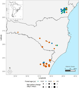 Distribution of sampling points across subtropical Brazilian Atlantic Forest (BAF). The colours represent forest age (green = 15–25 years, blue = 25–50 years, and orange ≥50 years), and point size represents the net carbon change estimates per plot. Distribution of the BAF is detailed in grey. Points show the location of the sampling units at subtropical BAF. For visualization purposes, the position of points is slightly shifted when they overlap.