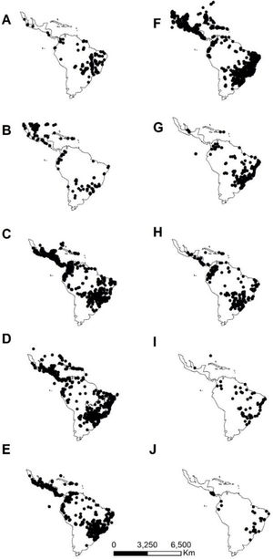 Current distribution of ten invasive Poaceae species in the Neotropical region according to data available from GBIF. (a) Andropogon gayanus, (b) Arundo donax, (c) Hyparrhenia rufa, (d) Megathyrsus maximus, (e) Melinis minutiflora, (f) Melinis repens, (g) Urochloa brizantha, (h) U. decumbens, (i) U. humidicola and (j) U. ruziziensis.