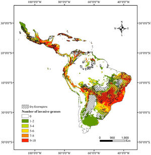 Potential distribution of 10 invasive grass species in the Neotropics under current climate conditions. Andropogon gayanus, Arundo donax, Hyparrhenia rufa, Megathyrsus maximus, Melinis minutiflora, Melinis repens, Urochloa brizantha, U. decumbens, U. humidicola and U. ruziziensis. Dry Ecoregions according to TNC TNC – The Nature Conservancy (2009).