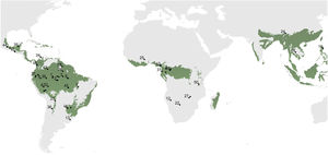 Location for the 52 existing and past community-based monitoring projects (black dots) of terrestrial game fauna in the tropics (colored in green). Each number represents one project (the respective names are described in Table S3).