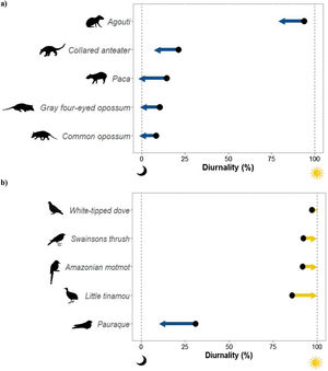 Shifts in diurnality of (a) five understory mammals and (b) five understory bird species in response to human pressure in three sites in the Colombian Llanos, from the most preserved sites (black point) to the most disturbed sites (arrow point) in which each species was recorded. Arrows to the right represent shifts toward diurnality, while arrows to the left represent shifts toward nocturnality. The species depicted are the ones that presented statistically significant changes in diurnality. Mammal and bird silhouettes were obtained from the PhyloPic public domain database (http://phylopic.org/).