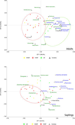 Principal component analysis that considered the values of species richness (letters color blue) and CWM (letters color green) associated with each trait in all the transects in the three forest conditions. The upper figure corresponds to the tree stratum and the lower figure to the natural regeneration stratum (saplings). HSIBF: high severity and intensity burned forest, MSIBF: moderate severity and intensity burned forest and UB: unburned forest.