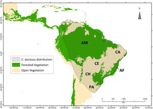 Known distribution of Crotalus durissus. Distribution modified from the International Union for Conservation for Nature (Martins and Lamar, 2010). Vegetation map following Olson et al. (2001) ecoregions, showing “major habitat types” that correspond to open vegetation (savanna and flooded/non-flooded grasslands) and Forested Vegetation (tropical and temperate dry or humid forests). Within the C. durissus distribution, major open vegetation corresponds to South America’s “dry diagonal”, represented by the Caatinga (CA), Cerrado (CE), Chaco (CH) and Pampa (PA), and major forested vegetation are represented by the Brazilian Atlantic Forest (AF) and the Amazon (AM).