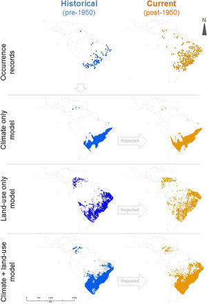 Records and the three sets of ecological niche models for Crotalus durissus performed in the present study. Models were calibrated using occurrence records pre-1950 and then projected into the post-1950 period.