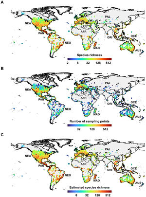 The global biogeography of ants. (A) Observed ant species richness, (B) Number of ant sampling points, as a measure of sampling effort, C. Estimated ant species richness. Information is represented in a 2 by 2 degrees grid. Observed species richness and number of sampling points are represented in a log2-scaled. The letters represent the realms: Afrotropical (AFR), Australian (AUS), Madagascar (MAD), Nearctic (NEA), Neotropical (NEO), Oceania (OCE), Oriental (ORI), Palearctic (PAL), Panamanian (PAN), Saharo-Arabian (SAH), and Sino-Japanese (SIN).