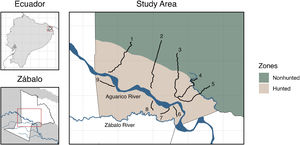 Location of the Cofán territory of Zábalo in the Ecuadorian Amazon. Transects surveyed during this period are shown within hunted and nonhunted zones.