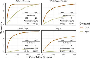 Detections and asymptote data for focal species. Accumulation curve data presented as occurrence (the number of surveys required to capture a species on every transect where it is detected;304 total), followed by effectiveness in parentheses (the total number of transects where the animal was detected;9 total).