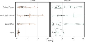 Density estimates using the FMP method and from the literature review. Estimates from this study are shown in in black with 95% CI. The median density from the literature is shown as a colored bar with violin plots and points representing each individual estimate from the literature. Collared peccary and white-lipped peccary individual density is presented here with average group size equal to 7 and 150 individuals respectively. Lowland tapir and jaguar density estimates are represented as individuals/10 km2 and individuals/100 km2 respectively.