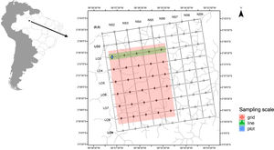 Permanent plots at the Ducke Reserve related to Biodiversity Research Program (PPBio) (Pezzini et al., 2012). Sample coverage for the three sampling scales, grid, line, and plot. Grid is related to the entire pink filled area inside the square, the line is demonstrated by the green are inside square and plot to the blue square.