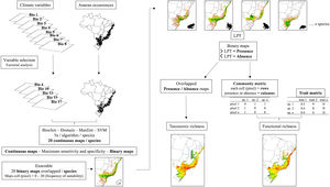 Workflow of the main steps used for building present-day and future species distribution models for the Brazilian Atlantic Forest anurans. SDMs were built for each selected species using multiple algorithms. Evaluation of the models included True Skill Statistics (TSS) and the generation of 20 maps per species through bootstrap analysis. Continuous maps were converted to binary maps using an ensemble approach. Final species distribution maps were obtained by overlapping maps from different algorithms. Displayed cell values represent suitability frequency. This workflow was applied to both present-day and future spatial distributions.