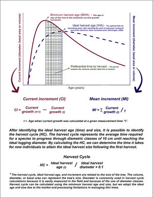 Description of the GOL approach providing an overview of the decision-making curve employed by the method and the rationale used to define the Current Increment (CI), the Mean Increment (MI), and the calculation and meaning of the Harvest Cycle (HC).