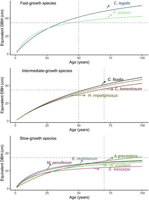 Modeled diameter increase of commercially valuable tree species in restored forests of different ages, grouped according to their growth rates (fast, intermediate, and slow). The vertical dashed lines indicate the age class in which a DBH of 35 cm is reached.