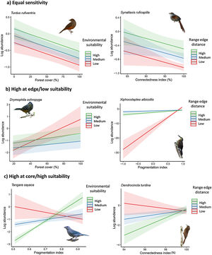 Response of bird species to habitat loss, fragmentation, and connectedness across their geographic range. (a) Some species exhibit equal responses throughout their range. (b) Other species show higher sensitivity in regions with low environmental suitability or near the range edge. (c) Some species display higher sensitivity in regions with high environmental suitability or near the core of the range. To visualize the marginal effects of the continuous biogeographic metrics (range edge distance and environmental suitability index), we grouped them into three levels, including one above standard deviation (high), mean value (medium), and one standard deviation below the mean value (low). Shaded areas represent 95% confidence intervals. Legend: Log_abundance = log bird species abundance/100net-hours; fragmentation index = proportion of like adjacencies involving the forest class from spatially random distribution; forest cover (%) = proportion of landscape occupied by forest; connectedness index = physical connectedness of forest patches; environmental suitability index = geographic position classified according to environmental suitability (%); nearest distance = distance from the nearest edge of the geographic distribution (or log of distance). (Bird photos: # by de Paula FJ, Synallaxis ruficapilla by Paulo Côrtes, Drymophila ochropyga and Xiphocolaptes albicollis by nickathanas, Tangara sayaca sayaca by quitbanana, Dendrocincla turdina by Gustavo Forreque; all licensed under CC BY-NC-SA 2.0 or CC BY-SA 2.0).