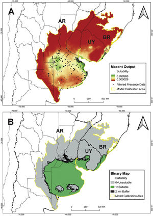 (A) Final Maxent prediction of suitable areas for C. ornata. The black circles correspond to the presence data used in the ENM. (B) Final binary model showing suitable and unsuitable areas for the species. AR: Argentina. BR: Brazil. UY: Uruguay.