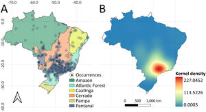 (A) Occurrences of mammalian carnivorans (Felidae and Canidae) across urban areas throughout Brazilian biomes between 2010 and 2022. (B) Kernel interpolation (heatmap) showing the spatial hotspots (highlighted in red) and therefore indicating places with high rates of occurrences of medium- to large-bodied carnivorans in Brazilian urban areas.