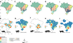 Occurrences of felids in urban areas throughout Brazil between 2010 and 2022, and the respective heatmaps based on Kernel approach showing spatial hotspots (highlighted in red) with high rates of occurrences. Felids species are: Herpailurus yagouaroundi (A-B), Leopardus pardalis (C-D), Leopardus wiedii and Leopardus guttulus/tigrinus (E-F), Panthera onca (G-H) and Puma concolor (I-J).