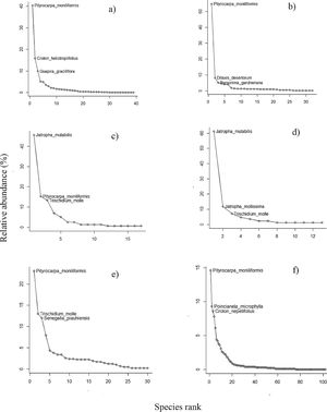 Species accumulation curves for the three size classes surveyed in this study: (a) seed rain, (b) soil seed bank, (c) true seedling, (d) true sapling, (e) resprout, and (f) adult, as functions of the number of individuals sampled in the 18 0.1-ha m2 plots in the Caatinga dry forest, Catimbau National Park, Northeast Brazil.
