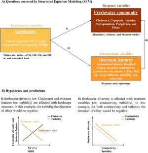 Schematic representation of the questions addressed in the study (Ai, ii, and iii) using Structural Equation Models (SEM), and hypotheses and predictions (Bi and ii). Predictions: we expect that streams within landscapes with higher vegetation amount and compositional heterogeneity have higher freshwater community diversity (Bi), and suitable values of physicochemical and biological indicators of water quality and water velocity (Bi). Also, we expect that streams with suitable values of physicochemical and biological indicators of water quality and water velocity have higher freshwater community diversity (Bii). The direction of effect will vary according to each stream feature. pH, potential of Hydrogen; ORP, Oxidation Reduction Potential, and OBD, Oxygen Biological Demand.