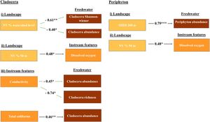 Significant relationships according to structural equation modeling. (i) effects of terrestrial landscape structure on freshwater community diversity and (ii) instream features, and (iii) effect of instream features on freshwater community diversity. The signal of standardized estimate coefficients is represented by black and green arrows for positive and negative signals, respectively. %NV = percentage of natural vegetation at different spatial scales; SHDI = compositional heterogeneity at different spatial scales; * = significant effects with p < 0.05.