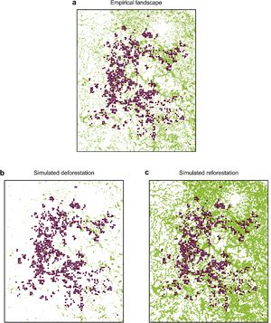 Scenarios illustrating the complexity of the landscape by varying the natural and restored forest cover, northeastern São Paulo state, Brazil ((a)- empirical landscape with 16,7% of forest cover, (b) – simulated deforestation with 6,3% of forest cover and (c) – simulated reforestation with 36,8% of forest cover). Forest cover is depicted in green and sample points (trap locations and nodes in the spatial network) in red. Forest cover data was provided by MapBiomas, Collection 5.