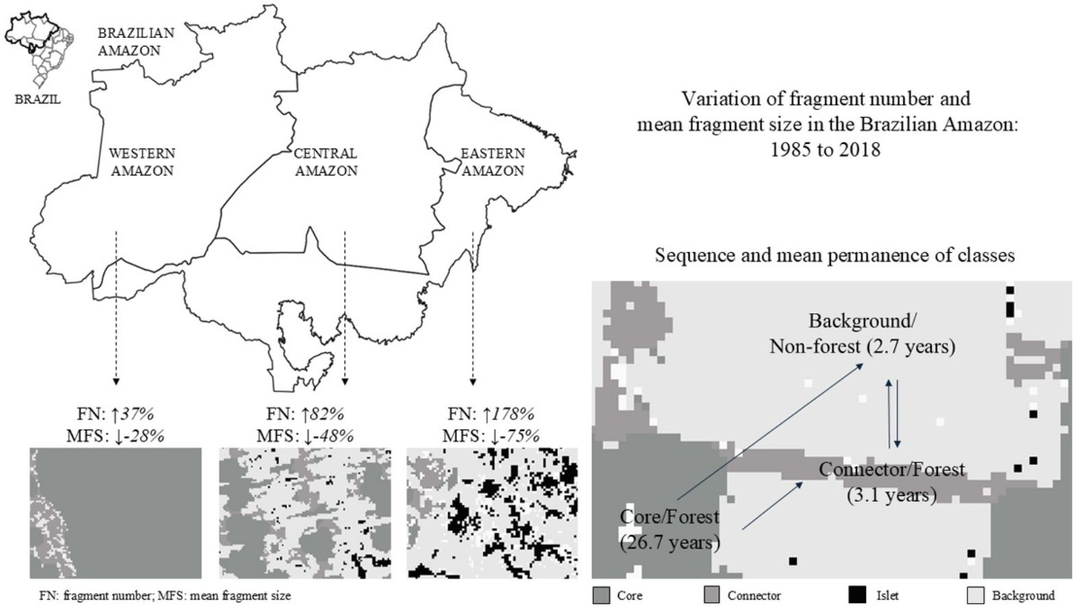 Forest fragmentation in the Brazilian Amazon: Trends and conservation ...