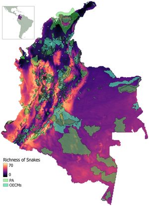 Spatial pattern of PA/OECMs networks and species richness based on staked-SDM of snakes native to Colombia. The warmer colors represent sites with higher richness.