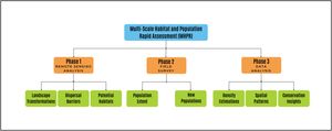 Flowchart of the Multi-Scale Habitat and Population Rapid Assessment (MHPR) method.