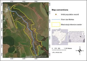 Boundaries of the only recorded site of Butia pubispatha and its surroundings, in the Das Mortes River watershed, in the municipality of Jaguariaíva, Paraná, Southern Brazil.