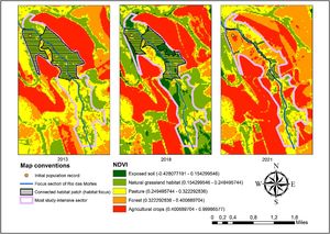 NDVI results and reduction of the habitat patch connected to the species’ record over the years in the 2013, 2018, and 2021 images.