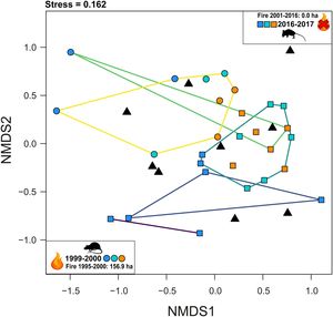 Non-Metric Multidimensional Scaling (NMDS) ordination of small-bodied mammal compositions across sites and periods (1999–2000 and 2016–2017), using Bray-Curtis distance. Stress value indicates goodness-of-fit between similarity matrix and ordination. Clusters were validated with Similarity Profile Analysis (SIMPROF), identifying significant groupings (p ≤ 0.05). Null models represent the species abundance randomized ranging from 0 (min.) to 18 (max. abundance) in the adjacency matrix i (i.e., columns representing the total of species during both periods). Circles represents data from 1999 to 2000, squares data from 2016-2017, and triangles data from null models. In any period, orange represents babaçu forests, blue cerrado ss, turquoise represents gallery forests, whereas black triangles represents null models. The lines represent five distinct significant grouping and different color in the lines is only to distinction.