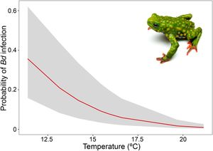 Visualization of the Generalized Linear Model (GLM) fit for Batrachochytrium dendrobatidis (Bd) infection risk (prevalence) and temperature (ºC) (z = 2.729, P < 0.001).