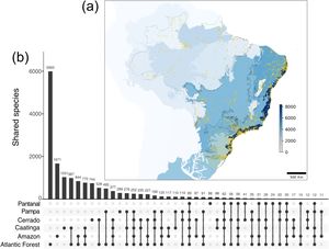 Digital accessible Brazilian fungal diversity spatial distribution retrieved from online public repositories. Fungal richness within each Brazilian province is indicated by blue shades (from lighter to darker as richness increases). Provinces were defined based on Morrone et al. (2022) classification for the Neotropical region. Provinces definitions and associated biomes are given in the Supplementary Fig. 1 and Supplementary File 2. All retrieved and filtered occurrence points (relaxed dataset, check Supplementary methods under Supplementary File 1 for details) are presented in yellow. Brazilian phytogeographical domains are outlined with solid black outlines (a). Number of shared species among Brazilian phytogeographical domain groups is indicated by dot connections (b).