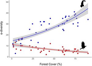 Effects of forest cover on α-diversity of habitat-dependent (blue dots) and habitat-generalist (red dots) bird species according to forest cover in the 40 surveyed landscapes in the Brazilian Atlantic Forest. Effects of forest cover on α-diversity of habitat-dependent (blue dots) and habitat-generalist (red dots) bird species according to forest cover in the 40 surveyed landscapes in the Brazilian Atlantic Forest.