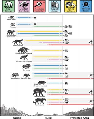 Illustration of the most typical human-wildlife conflicts with terrestrial mammal species across shared and spared landscape gradients in Brazil.