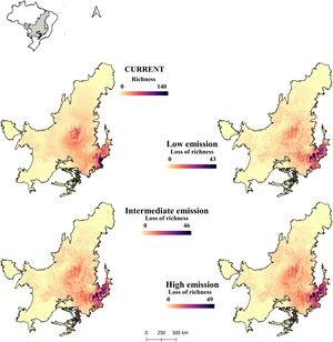 Current richness of Cerrado endemic and endangered species, and projected species richness loss under future emission scenarios: Low emission (SSP126), Intermediate emission (SSP245) and High emission (SSP585). The maximum number of species lost per cell is indicated for each scenario. Current richness of Cerrado endemic and endangered species, and projected species richness loss under future emission scenarios: Low emission (SSP126), Intermediate emission (SSP245) and High emission (SSP585). The maximum number of species lost per cell is indicated for each scenario.