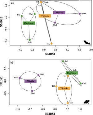 Non-metric Multidimensional Scaling (NMDS) ordination based on species composition for (a) bats (stress value = 0.05) and (b) rodents (stress value = 0.06) at the nine sampling landscapes located in three regions (Mérida, Tizimín, and Calakmul) from the Yucatán peninsula, Mexico. Landscape names include a regional code (Me, Ti, Ca) followed by a letter indicating low (L), intermediate (I), and high (H) landscape modification.