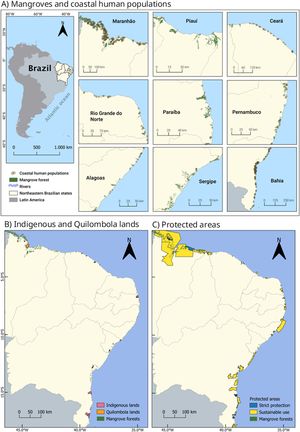 Map showing mangroves and estuarine human populations along Northeast Brazil (Maranhão, Piauí, Ceará, Rio Grande do Norte, Paraíba, Pernambuco, Alagoas, Sergipe and Bahia states). A) Mangroves, major rivers, and human coastal populations living near estuaries in the region. B) Indigenous and quilombola lands that include mangroves within their boundaries. C) Protected areas that encompass mangroves, strictly protected and of sustainable use. Table S1 provides detailed information about these protected areas.