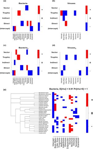 Heatmap of estimated parameters linking parasite transmission mode and parasite species responses to host trait covariates. Red and blue colours indicate parameters estimated as positive and negative, respectively, with at least 95% posterior probability, while responses lacking strong statistical support are shown in white. Panels (a) show the model excluding E. coli, panel (b) show the model excluding rabies virus, and panels (c) and (d) models include these species. Panel (e) depicts shared zoonotic microparasite responses to host traits based on parasite taxonomy. Species are ordered according to their taxonomy, as illustrated by the taxonomy tree displayed in the panels.