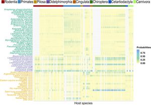 HMSC models fitted for each group of zoonotic microparasites (bacteria, protozoa, and viruses) based on body mass (log-transformed), litter size, main trophic guild, activity period, foraging stratum (fixed factors), host species identity (at species and order levels), and study site (random factor). The heatmap displays the unified results, with colours indicating the probability of zoonotic microparasite occurrence (vertical axis) between 0 and 1 (yellow to purple), according to host species suitability (horizontal axis). The probability of the parasite’s occurrence in a host species was not calculated when the association between them is already known (grey areas). Microparasite species are coloured by group.