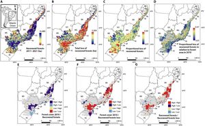 A - Forest recovery (hectares) in Brazilian municipalities during the study period (2011 to 2021) and that persisted until 2023. B - Total loss of forest that was recovered during the study period. C - Proportional loss of recovered forest relative to the recovered area. D - Proportion of recovered forest compared to forest cover in the initial year (2010) considering only municipalities above the 50th percentile of forest cover in 2010 (>4075 ha). Municipalities below this threshold are shown in gray. E - Spatial associations between total forest cover in 2010 and recovered forests were classified into categories (e.g., High / High indicates areas where both variables are high; High/Low where 2010 forest cover is high but recovery is low; and so on). F - Total forest cover in 2010 and recovered forest loss. G - Recovered forests and deforestation of recovered forests. Bivariate spatial correlations in E to G were calculated using the Lee’s spatial correlation coefficient.