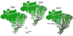 Evolution of the distribution of transmission grid and native forest cover in Brazil. The expansion of transmission infrastructure across the Amazon represents a critical biodiversity threat with cascading ecological consequences. The temporal analysis reveals that there is an association (whether direct or indirect) between forest loss in and the proximity to grid corridors, with deforestation rates increasing markedly after 2005 when grid expansion intensified from 1200 to 6500 km annually. This pattern could give rise to the necessity to investigate how energy infrastructure expansion is associated with environmental degradation, enabling access to previously remote areas. Forest cover (green areas) and existing grid information (black lines) was retrieved from MapBiomas (Souza et al., 2020). The ‘Madeira system’, the longest transmission line corridor in the world (2385 km) is highlighted. Planned grid information (red lines) was obtained from ‘Sistema de Informações Geográficas do Setor Energético Brasileiro’ (WebMap EPE, 2025).