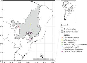 Study area and spatial distribution of occurrence points for seven poorly known anurans of the Brazilian Cerrado. The main map illustrates the study area, encompassing the entire Brazilian Cerrado (gray area) and neighboring regions used for niche modeling. Different colors indicate occurrence points for each species. The inset map depicts the Brazilian Cerrado (gray area) in South America. Datum: WGS84.