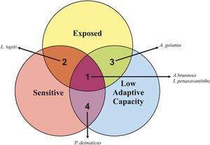 Classification of poorly known species across the three dimensions of climate change vulnerability (exposure, sensitivity, and adaptive capacity). Exposed: species living in regions where the rate and magnitude of climate change are high across their range; sensitive: species with low climatic tolerance, unable to withstand the exposure to climate change (narrow niche width); low adaptive capacity: species with a low capacity to evolve their climate tolerance and adapt to novel climatic conditions. By overlapping these three dimensions, the species can be classified as follows: (1) highly vulnerable (triple overlap): species that are exposed, sensitive and present low adaptive capacity; (2) potential adapters: exposed and sensitive species but able to adapt to novel climates; (3) potential persisters: exposed species with low adaptive capacity; (4) High latent risk: sensitive species with low adaptive capacity but not exposed.