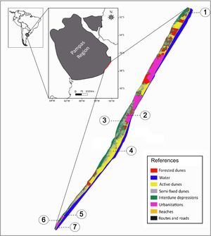 Location of sampled sites of Liolaemus multimaculatus and Liolaemus wiegmannii in Pampas coastal dunes of Argentina. The grey area in the left map demarcates the Pampas Region in South America. The detailed map at the right shows the surveyed sites in the Eastern Dune Barrier. Numbers 1–7 indicate sampling sites. References: 1—Punta Médanos; 2—Mar de las Pampas; 3—Mar Azul; 4— Faro Querandí Nature Reserve; 5— Parque Atlántico Mar Chiquito UNESCO–MAB Biosphere Reserve; 6—Balneario Parque Mar Chiquito; 7—La Caleta.