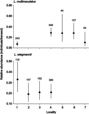 Estimated relative abundance per transect for the specialist Liolaemus multimaculatus and the generalist Liolaemus wiegmannii across seven sampling sites in the Pampas coastal dunes of Argentina. Circles represent the mean estimated abundance, and vertical bars indicate the 95% confidence intervals. The numbers above the bars indicate the total number of transect-replicates. Numbers 1–7 indicate sampling sites. References: 1—Punta Médanos; 2—Mar de las Pampas; 3—Mar Azul; 4— Faro Querandí Nature Reserve; 5— Parque Atlántico Mar Chiquito UNESCO–MAB Biosphere Reserve; 6—Balneario Parque Mar Chiquito; 7—La Caleta.